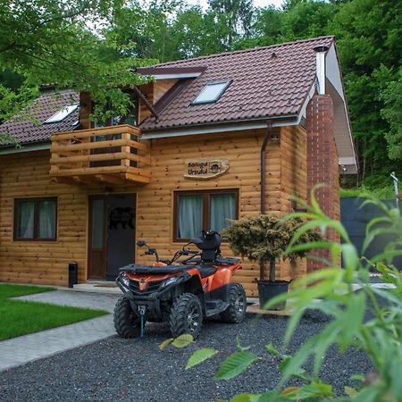 Bear'S Lair Chalet ポルンバク・デ・スス エクステリア 写真